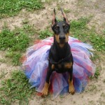 Scarlett_Tutu
