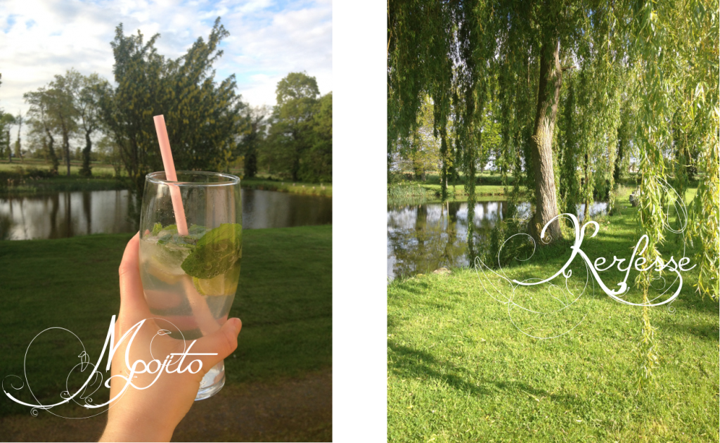 IF 14 mojito-etang