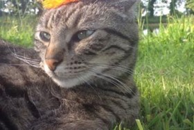 La musique du samedi #5