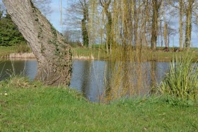 La musique du samedi #3