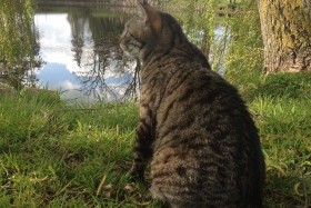 La musique du samedi #2